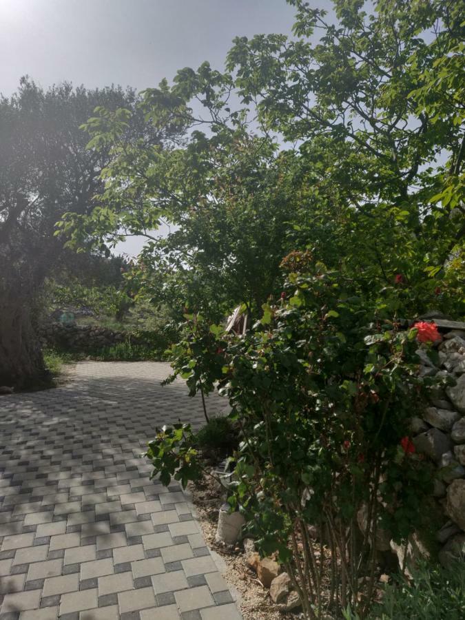 Guest House Maslina Vinisce Ngoại thất bức ảnh